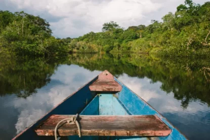 Imagem mostra proa de embarcação navegando em rio na floresta.