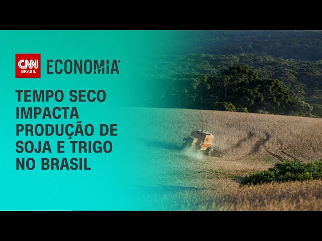 Tempo seco impacta produção de soja e trigo no Brasil | LIVE CNN