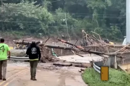 Desastres naturais: como os furacões na Flórida aumentam o valor dos seguros?