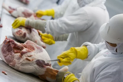 Imagem mostra trabalhadores de frigorífico durante corte de peças de carne em linha de produção. Eles vestem macacão branco com luvas amarelas.