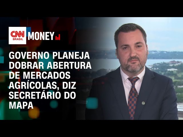 Governo planeja dobrar abertura de mercados agrícolas, diz secretário do Mapa | Money News