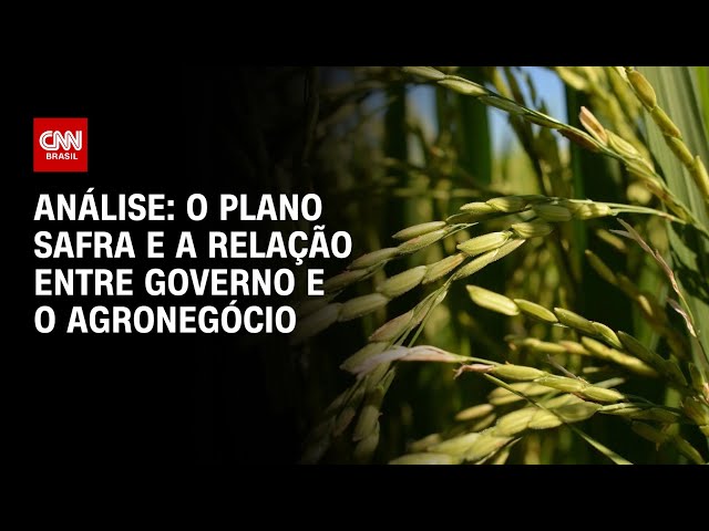 Análise: o Plano Safra e a relação entre governo e o agronegócio | WW