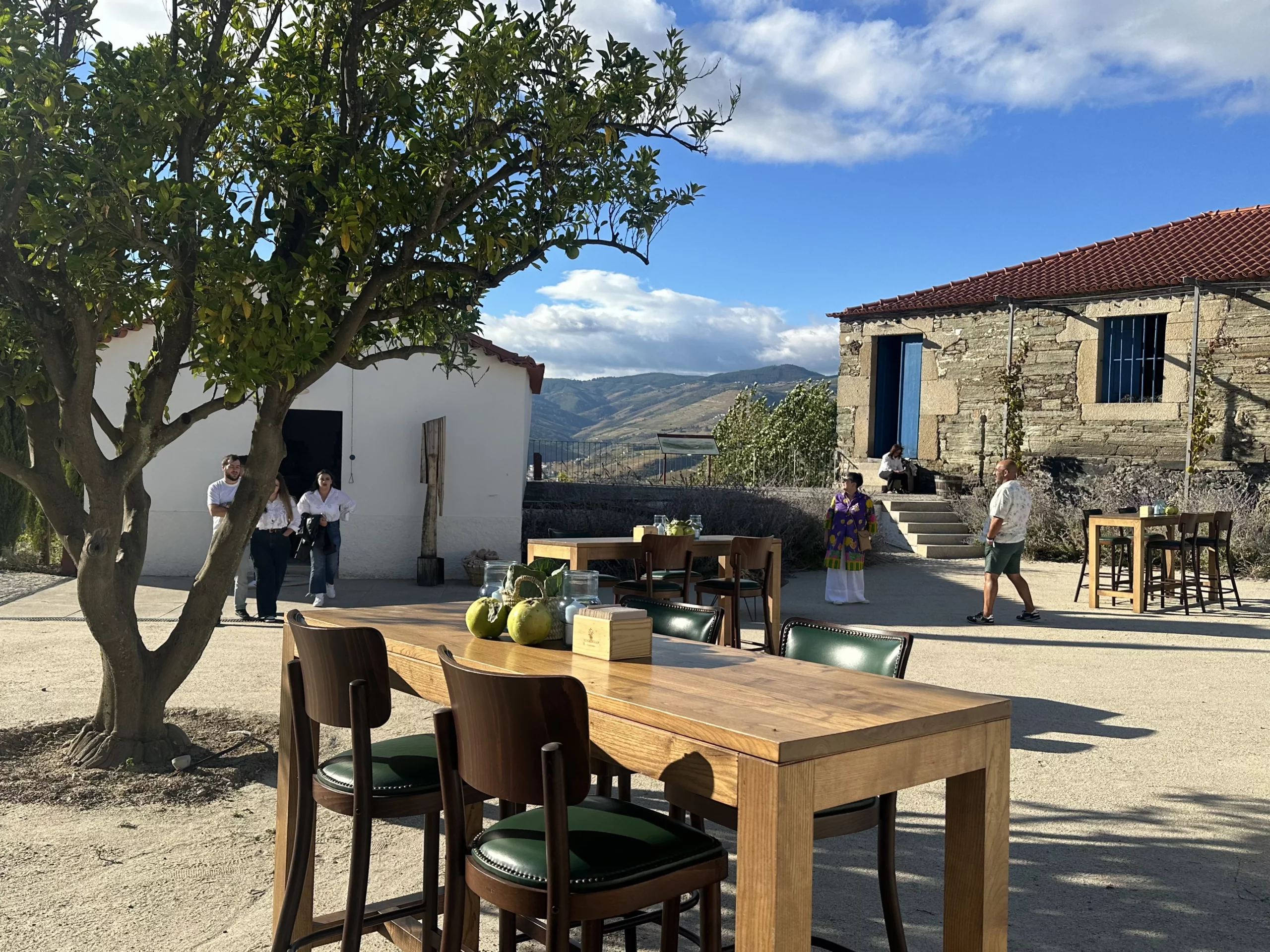 A Quinta do Ventozelo recebeu o